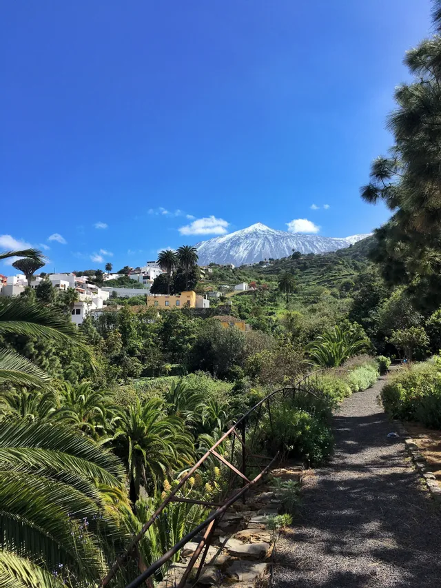 Foto del día 3