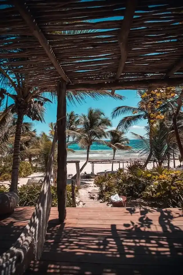 Foto del día 7
