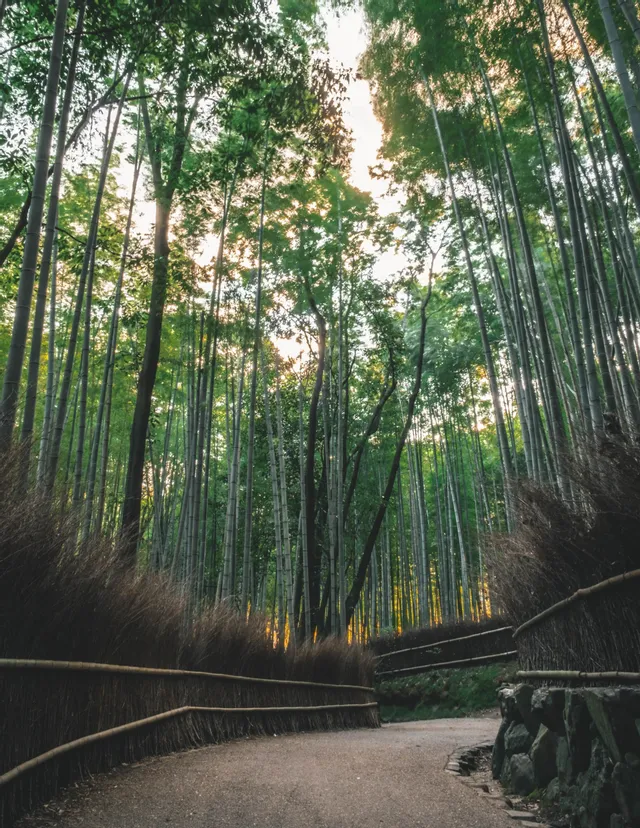 Foto del día 5